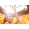 imageAdvanced Elements Private Shower Enclosure TanSilver One Size
